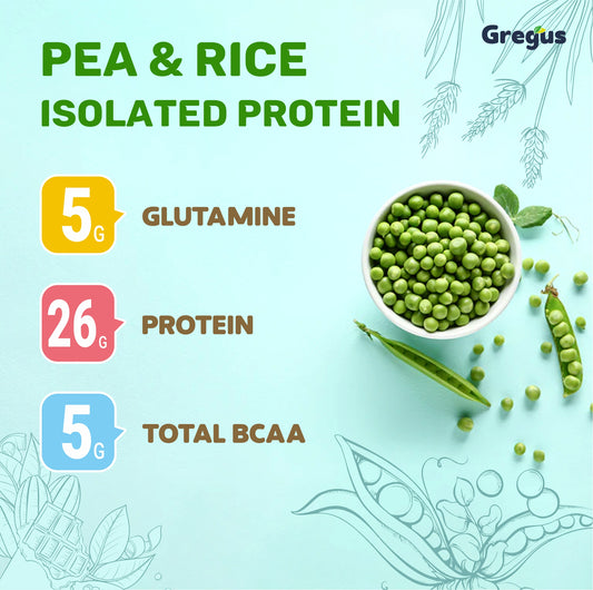 Gregus vegan protein (26gm) for lean muscles | sugar free | for women & Men Plant-Based Protein, chocolate flavour