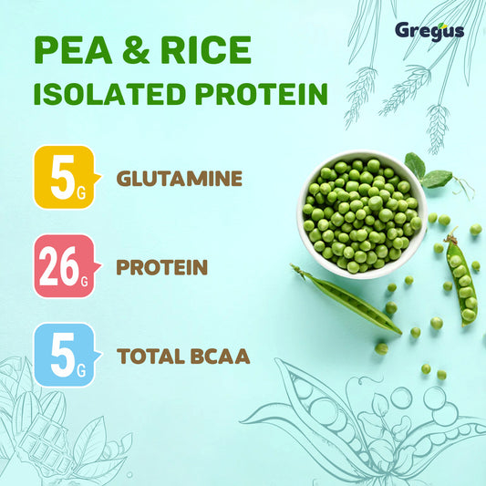 Gregus vegan plant based protein for Women and Men I Muscle recovery, Pea and Brown Rice Isolate, 26gm protein,5gm Glutamine,5gm BCAA for lean Muscle. (Mango, 500gm)