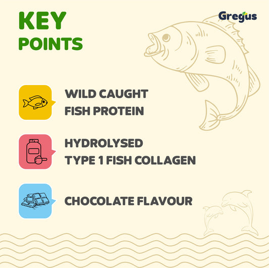 Gregus Marine Collagen powder For Women And Men | Hydrolysed Type 100% fish Isolate protein | Skin Collagen | Glowing & Brighten Skin | Chocolate (350 gm.)