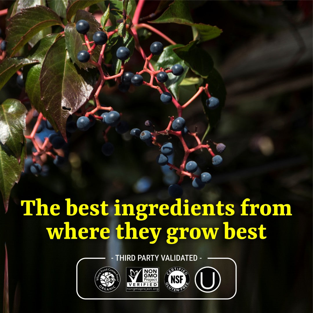 Gregus Multivitamin for Men and Women, Complete Wellness with all Vitamins, Biotin, Folic Acid, 41 Essential Ingredients, Vegetable and Fruit Blends (60)Tablets