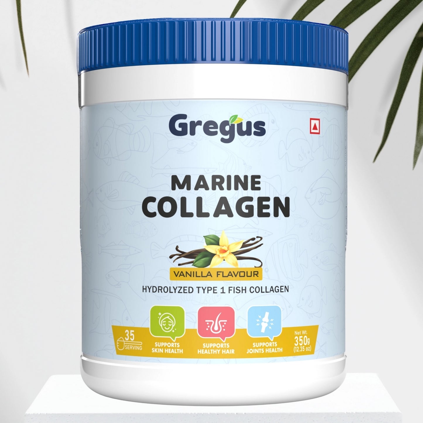 Gregus Marine Collagen powder For Women And Men | Hydrolysed Type 100% fish Isolate protein | Skin Collagen | Glowing & Brighten Skin | Chocolate (350 gm.)