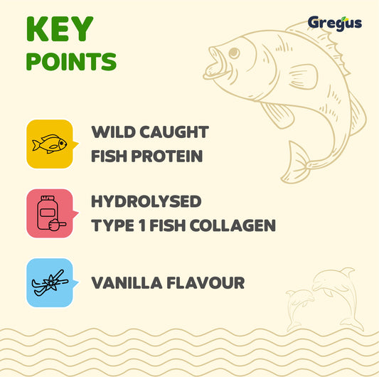 Gregus Marine Collagen powder For Women And Men | Hydrolysed Type 100% fish Isolate protein | Skin Collagen | Glowing & Brighten Skin | Vanilla (350 gm.)