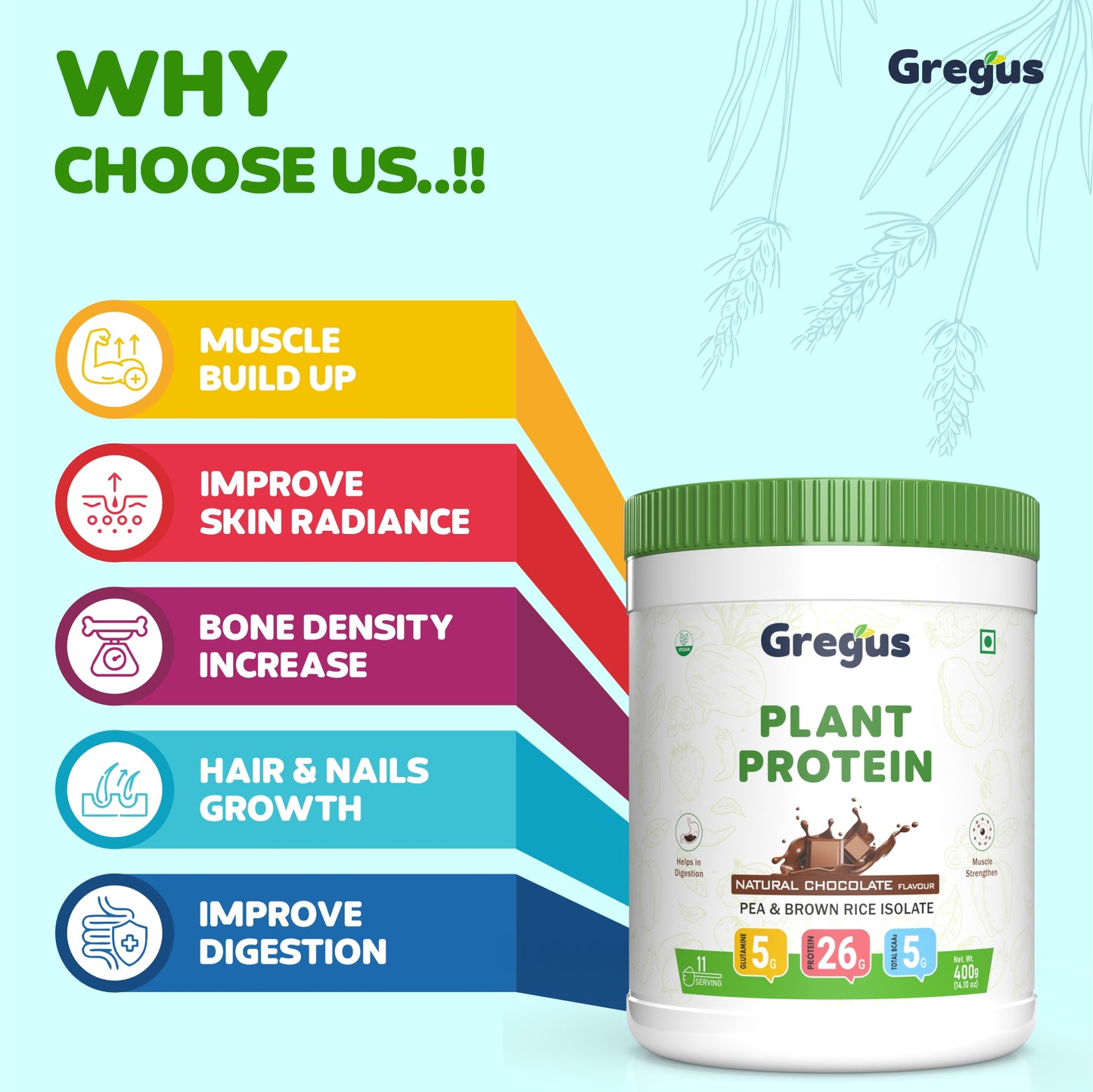 Gregus vegan plant based protein for Women and Men I Muscle recovery, Pea and Brown Rice Isolate, 26gm protein,5gm Glutamine,5gm BCAA for lean Muscle. (Chocolate, 500gm)