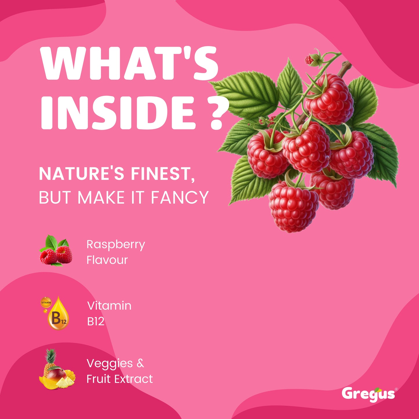 Gregus vitamin B12 Oral Spray | Natural Energy Support | Vegan & Sugar-Free | Raspberry flavour 30ml