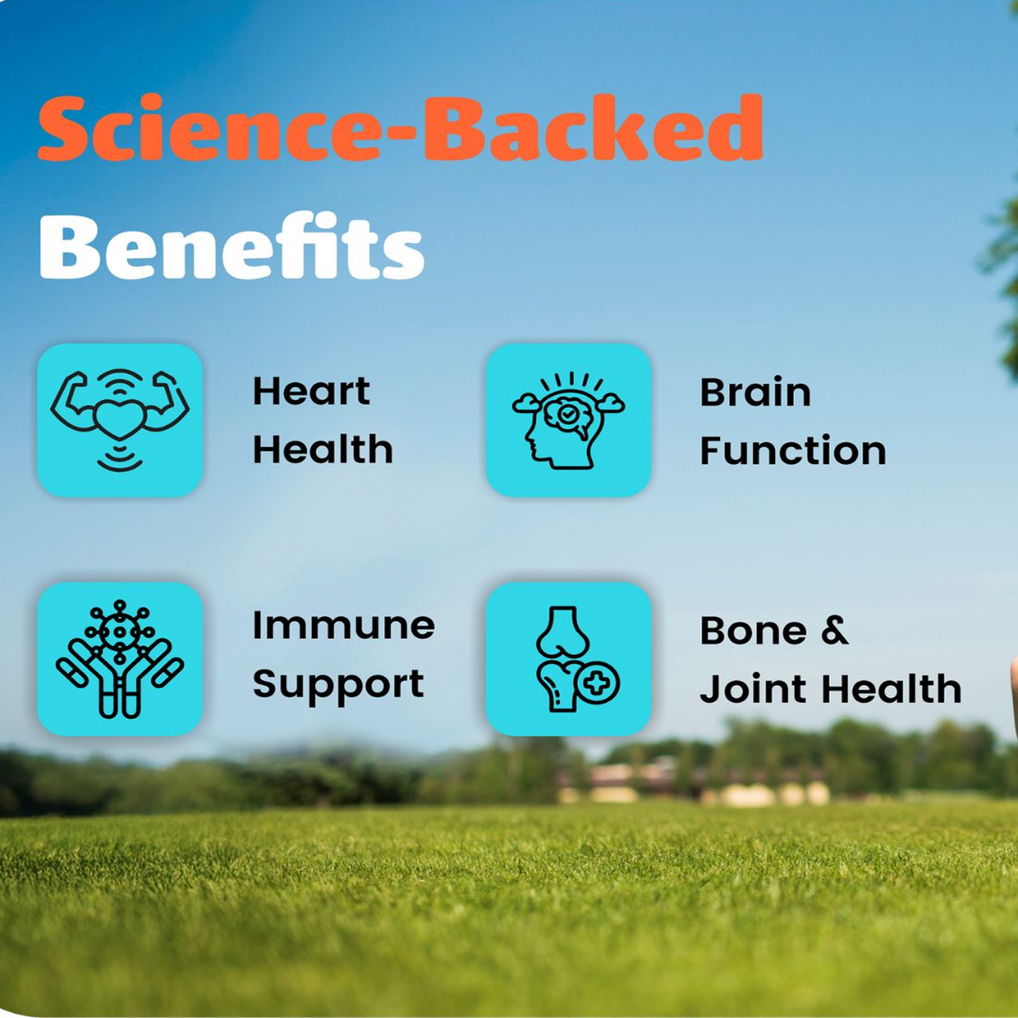 GREGUS High-Potency Omega-3 Fish Oil: 550mg EPA, 350mg DHA, Total 1000mg - Essential for Heart and Brain Health.(Omega3 Fish Oil (60 Soft Gel))