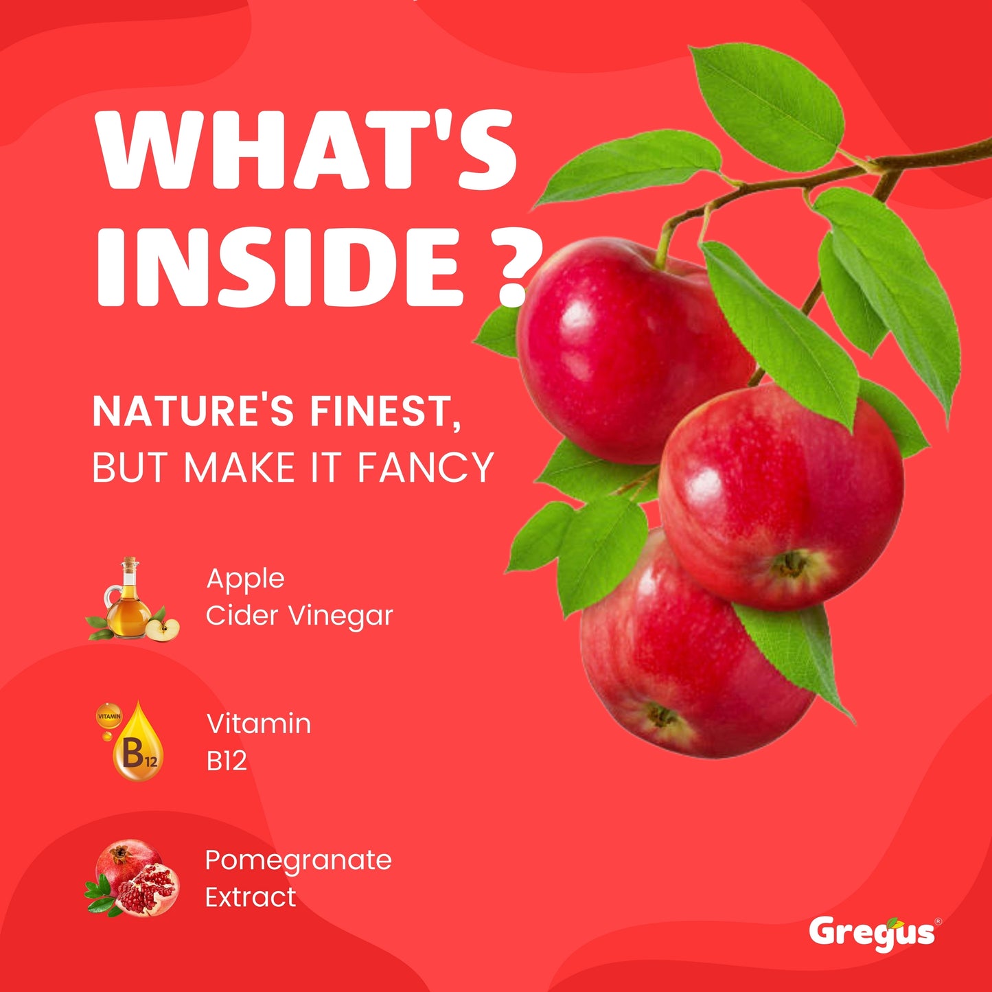 Effervescent Apple Cider Vinegar Tablets with Pomegranate and Apple Extracts: Natural Weight Loss Aid - Boost Metabolism and Support Healthy Digestion.