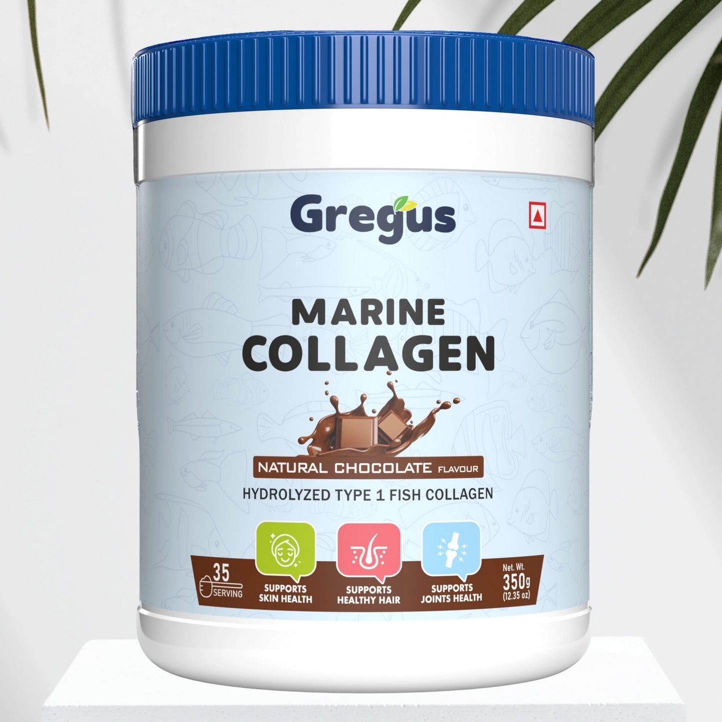 Gregus Marine Collagen powder For Women And Men | Hydrolysed Type 100% fish Isolate protein | Skin Collagen | Glowing & Brighten Skin | Chocolate (350 gm.)